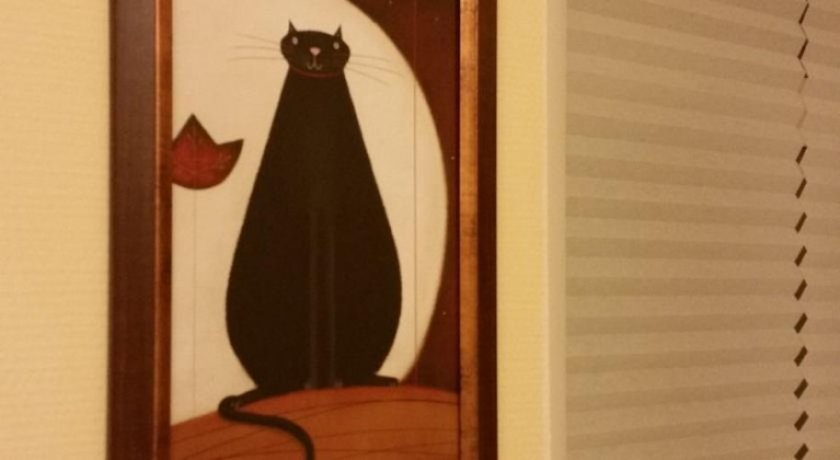 Гостиница Black Cat Hostel Санкт-Петербург-6